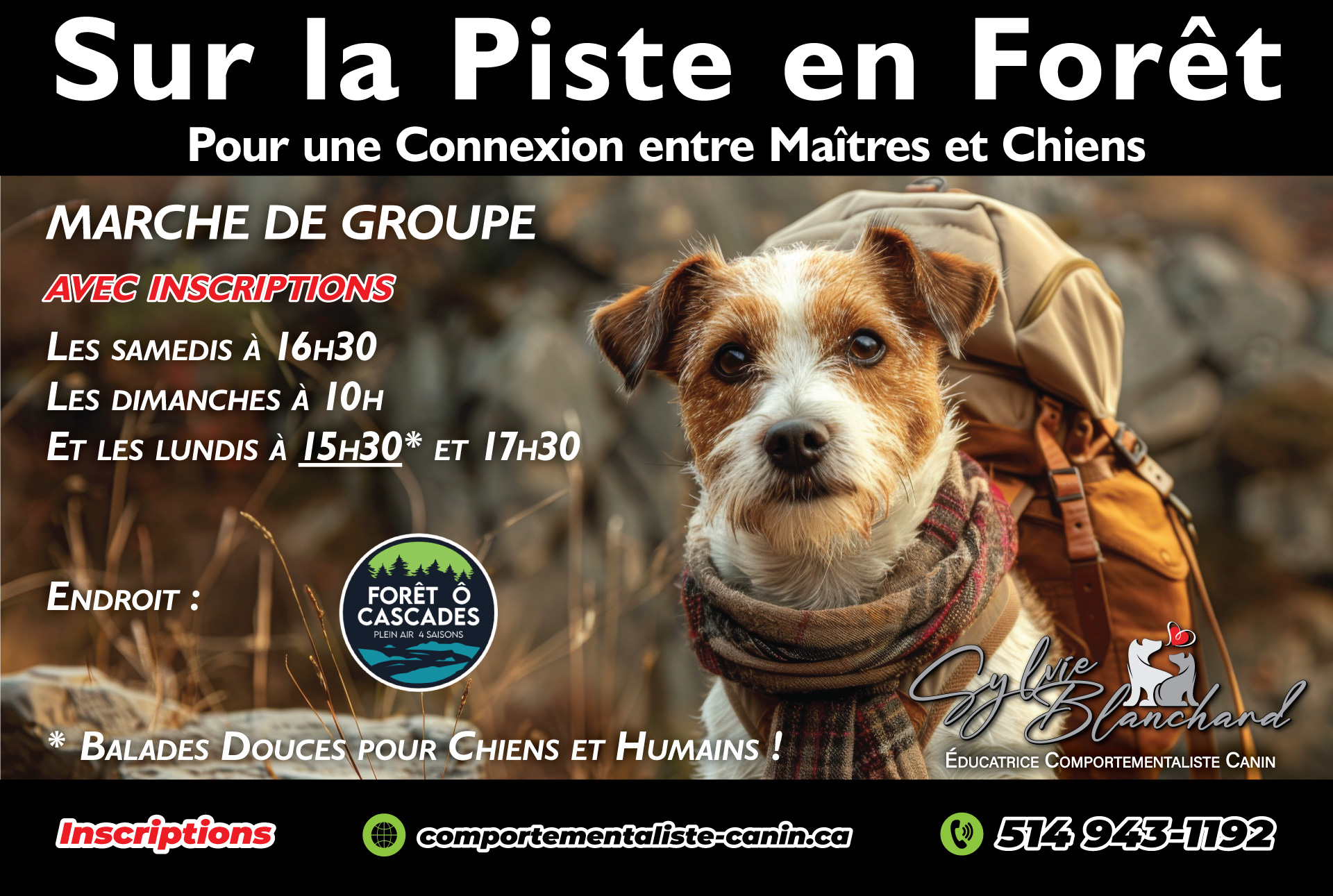 sur-la-piste-en-foret_foret_o_cascades