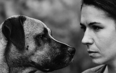 Écouter ce qui ne s’exprime pas