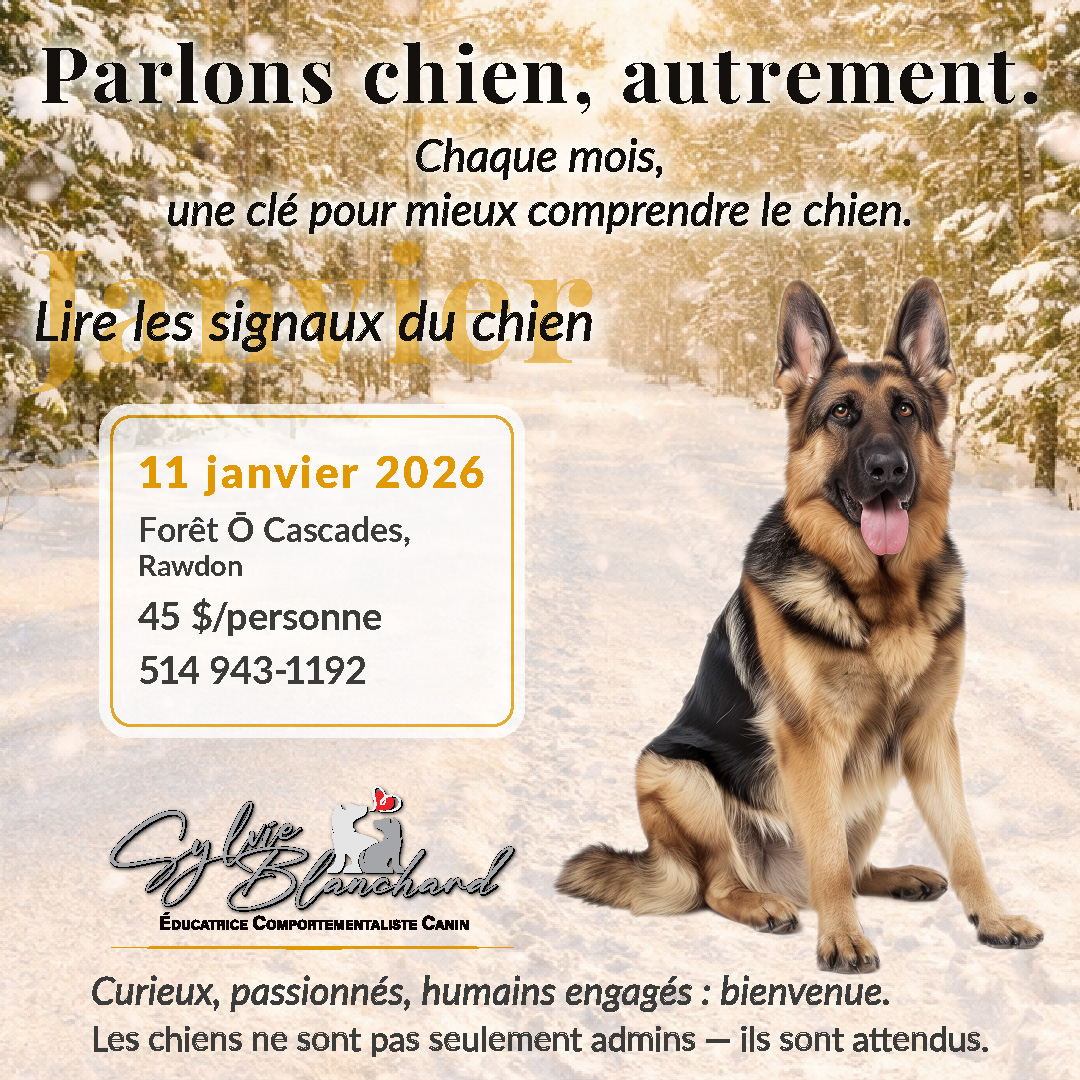 parlons chien autrement