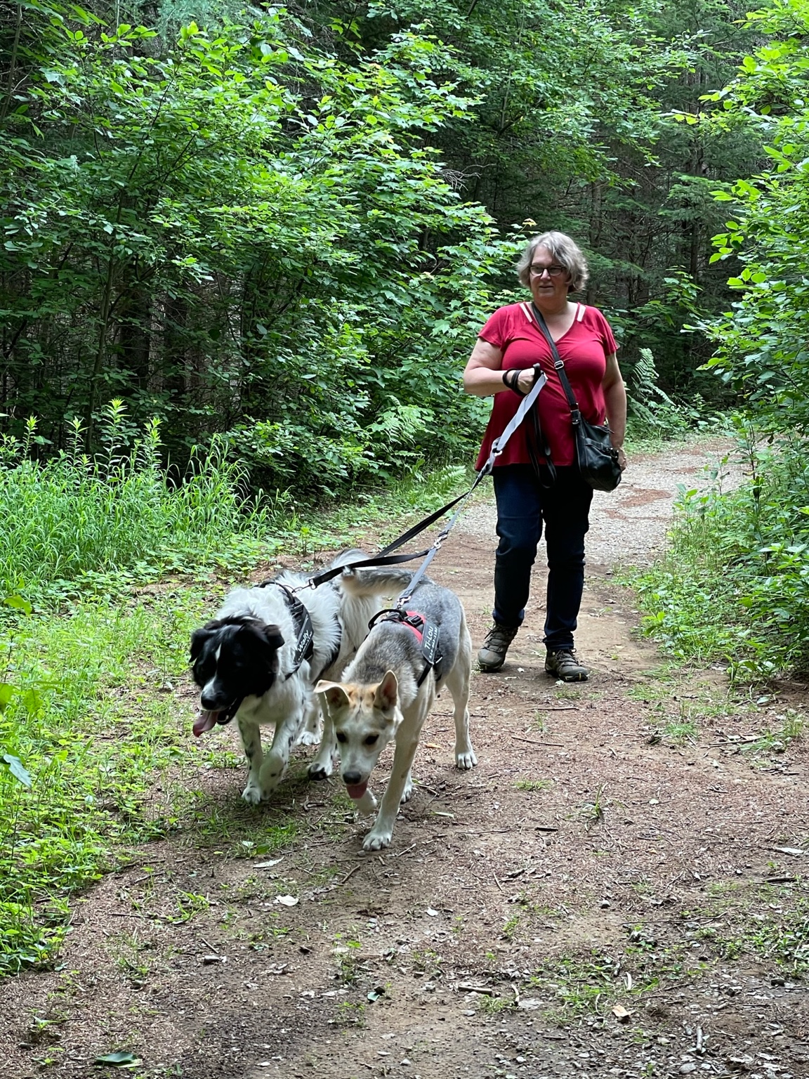L’âge adulte : consolider la fiabilité